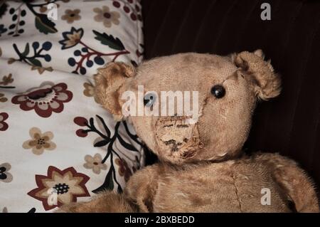 Ein gut genutzter, getragener Teddybär aus der Jahrhundertwende. Wahrscheinlich ein original Teddybär, der auf Kissen sitzt und die Kamera anschaut. Stockfoto