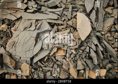 Bodenschichten mit Grundwasser. Details von Erdschichten in einer Tongrube. Form und Farben des Bodens. Natürliche Hintergrundstrukturen. Boden Land Cross sectio Stockfoto