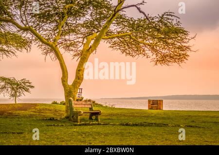 Grün und isolierten False Bay Park in Isimangaliso wetlands in KZNSouth Afrika Stockfoto