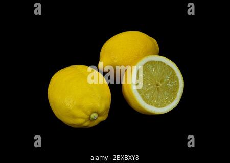 Reifes Gelb und frische Zitrone. Zitronen isoliert auf schwarzem Hintergrund. Stockfoto