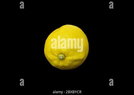 Reifes Gelb und frische Zitrone. Zitronen isoliert auf schwarzem Hintergrund. Stockfoto