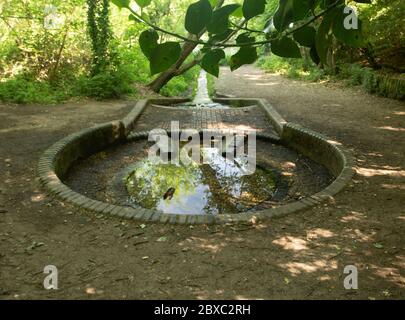 Historische Ceasars Brunnen, Quelle des Flusses Ravensbourne, in der Bromley-Gegend von Greater London Stockfoto