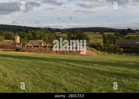 Somerset Landschaft nahe der Grenze zu Wiltshire auf Rodden Farm bei Frome. Stockfoto