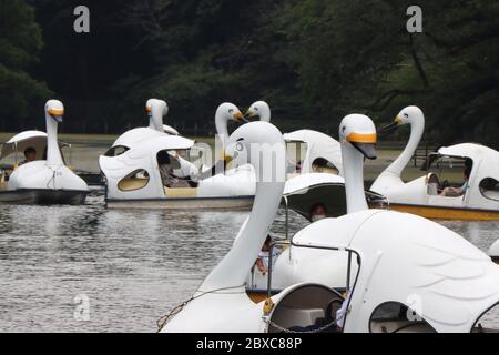 Tokio, Japan. Juni 2020. Am Samstag, den 6. Juni 2020, fahren die Menschen gerne auf einem Teich im Inokashira Park in Tokio mit Schwanenbooten. Die japanische Regierung hob am 25. Mai den Ausnahmezustand auf und die Menschen kehrten in das Einkaufs- und Vergnügungsviertel zurück. Kredit: Yoshio Tsunoda/AFLO/Alamy Live News Stockfoto