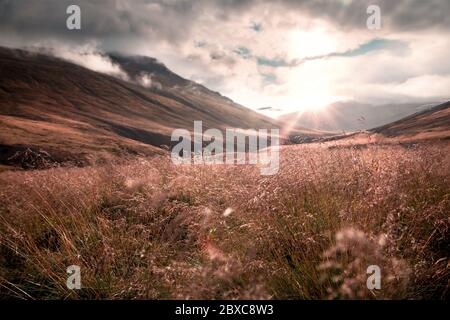 Trockenes Gras im Vordergrund mit schönen wolkenbedeckten Bergen im Hintergrund bei Sonnenuntergang in Island Stockfoto