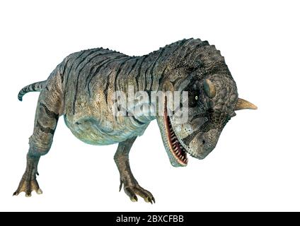 carnotaurus sastrei Aufladung auf weißem Hintergrund. Diese carnotaurus sastrei in Clipping-Pfad ist sehr nützlich für grafische Design-Kreationen, 3d-illustraa Stockfoto