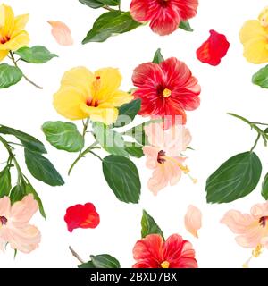 Hibiscus Blumen nahtlose Hintergrund. Blumenmuster auf weiß Stockfoto