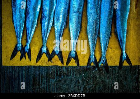 Fang des Tages. Snoek Fisch zum Verkauf an der Kalk Bay Hafen, Silber Fischschwänze auf einer gelben Matte, Kapstadt, Südafrika. Stockfoto