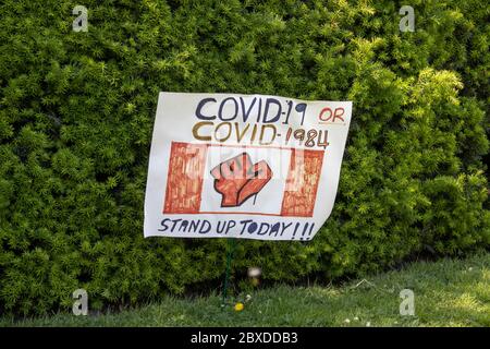 Black Lives Matter: Protest Toronto AM - 06-06-20 Stockfoto