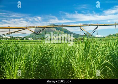 Landwirtschaftlich landet vor blauem bewölktem Himmel Stockfoto