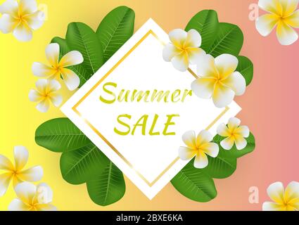 Heller, saftiger Sommerhintergrund mit tropischen Blättern und Plumeria-Blüten. Stock Vektor