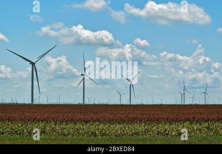 Windmühlen Turbine umweltfreundliche Energieerzeugung aus Windpark Blick über ein Feld voller Sorghum Pflanzen in Texas Stockfoto