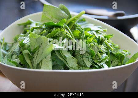 In Scheiben geschnittene Blätter von 'Morning Glory' Gemüse (Ipomoea aquatica), in einer Plastikschüssel Stockfoto