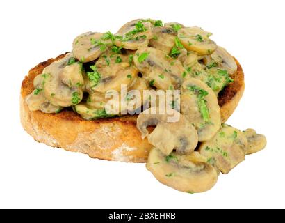 Cremige Pilze auf Toast auf weißem Hintergrund isoliert Stockfoto