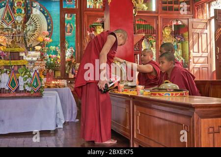 Ein Novizenmönch in Shree Gha Gumba (Buddhistisches Kloster), Kathmandu, Nepal, mit kompletter meditativer Aufmerksamkeit, die seine Co-Novizen Coca Cola ausgießt Stockfoto