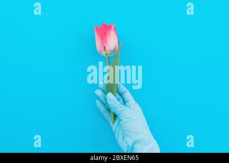 Epidemische Konzept mit Hand in glühend und Blume. Flach liegend. Draufsicht Stockfoto