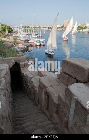 Die Treppe, die zu einem Eingang des alten Nilometers des Satet oder Satis Tempels führt, der in späten ptolemäischen oder frühen römischen Zeiten gebaut wurde, um die Klarheit des Nils und den Wasserstand während der jährlichen Hochwassersaison auf der Niltaler Insel Elephantine zu messen, Teil der Stadt Assuan Ägypten Stockfoto