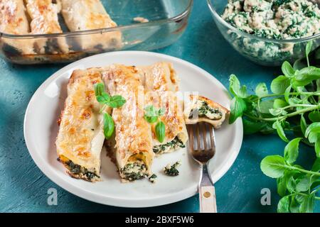 Portion Cannelloni gefüllt mit Spinat und Ricotta. Italienische Küche Stockfoto