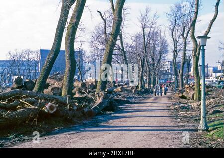 Die Nachwirkungen des "Großen Sturms" in Brighton, East Sussex, England, Großbritannien – es geschah in der Nacht des 15/16. Oktober 1987. Hier findet die große Aufreinigung auf 'The Level' statt, einem Stadtpark im Zentrum von Brighton. Gefallene Bäume, die die Gegend vermüllt haben, wurden durch eine Kettensäge aufgeräumt – ein Großteil des guten Holzes würde später recycelt. Der große Sturm von 1987 war ein heftiger tropischer Wirbelsturm, bei dem Wirbelstürme in Großbritannien und Frankreich Opfer und große Schäden verursachten. Stockfoto