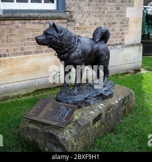CAMBRIDGE, GROSSBRITANNIEN - MÄRZ 11. 2020: Das Sledge Dog Memorial (Bildhauer David Cemmick) im Polar Museum am Scott Polar Research Institute Stockfoto