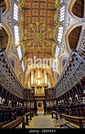 Der kunstvolle Stiftskeller der Manchester Cathedral, entworfen von John Wastell, mit den Chorgestüten, die nach Westen vom Hochaltar blicken Stockfoto