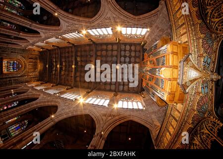 Blick nach oben auf das Kirchenschiff der Kathedrale von Manchester mit den prächtigen Bogenwänden und Fenstern, dem Holzdach, das von vierzehn musikalischen Engeln getragen wird. Stockfoto