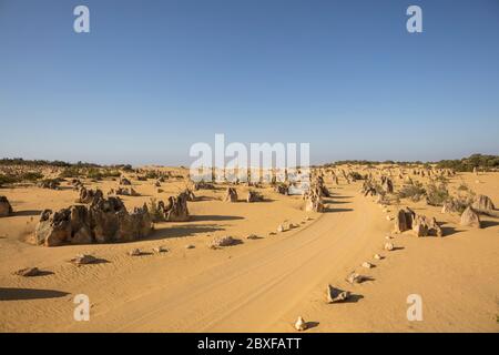 Kalksteinfelsen, auch bekannt als Pinnacles, neben dem Pfad innerhalb des Nambung Nationalparks in Western Australia Stockfoto