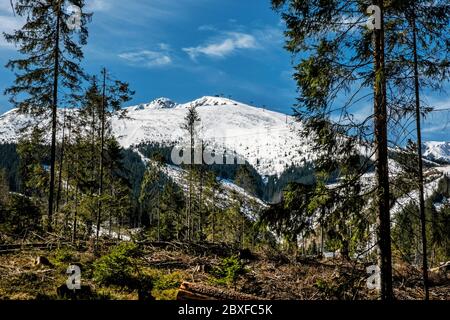 Chopok Gipfel und Demanovska Tal im Nationalpark Niedere Tatra Berge, Slowakische republik. Wanderthema. Saisonale natürliche Szene. Stockfoto