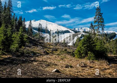 Chopok Gipfel und Demanovska Tal im Nationalpark Niedere Tatra Berge, Slowakische republik. Wanderthema. Saisonale natürliche Szene. Stockfoto