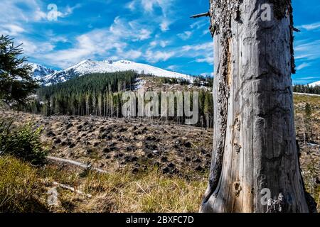 Chopok Gipfel und Demanovska Tal im Nationalpark Niedere Tatra Berge, Slowakische republik. Wanderthema. Saisonale natürliche Szene. Stockfoto