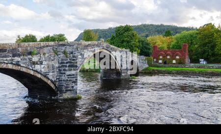 Llanrwst, North Wales, UK: Sep 14, 2017: The Virginia Creeper Clad TU Hwnt i’r Bont traditionelle walisische Teestuben wurden als Wohngebäude in gebaut Stockfoto