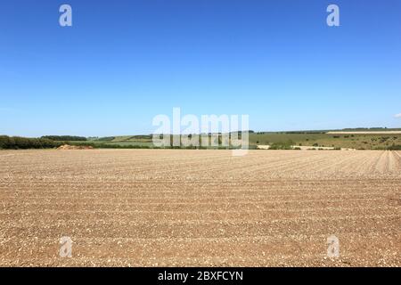 Muster und Texturen im malerischen Yorkshire Wolds Farmland im Sommer Stockfoto