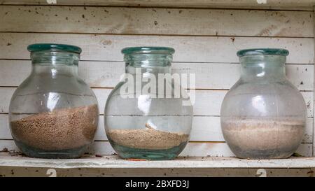 Holzschrank im Garten mit großen Glasgefäßen gefüllt mit verschiedenen Sorten von Getreide Stockfoto