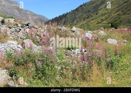 Silvretta-Hochalpenstraße in Österreich Stockfoto