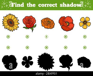 Finden Sie die richtige Schatten, Bildung Spiel für Kinder. Set von Blumen Stock Vektor