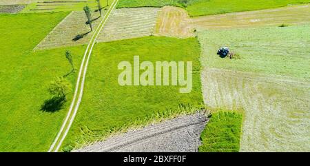 Traktor mit Zettwender - Luftansicht Stockfoto