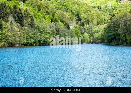 See Halcianske in Stiavnica Gebirge, Slowakische republik. Saisonale natürliche Szene. Wanderthema. Stockfoto