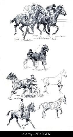 Eine Auswahl an Reitkunst/Pferdekunst von unbekannten Künstlern aus den 50er Jahren. Stockfoto