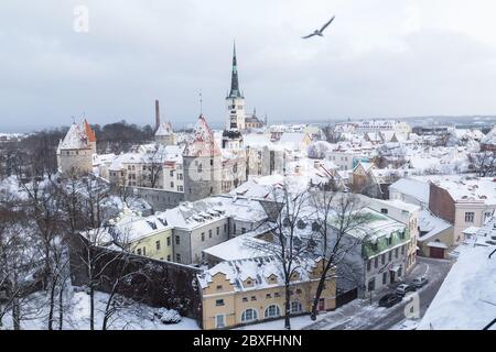 Blick auf die Skyline von Tallinn im Winter von der Aussichtsplattform Patkuli. Viel Schnee ist zu sehen. Stockfoto