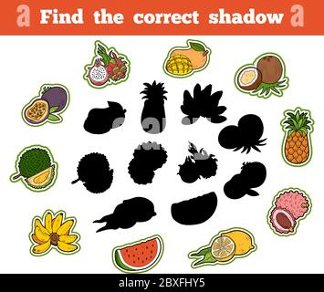 Finden Sie die richtige Schatten, Bildung Spiel für Kinder. Thailändische Früchte Stock Vektor