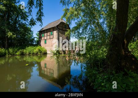 D-Schermbeck, D-Schermbeck-Altschermbeck, Niederrhein, Münsterland, Naturpark hohe Mark Westmünsterland, Rheinland, Nordrhein-Westfalen, NRW, Obermühle, Neue Mühle, Wassermühle, Mühlrad, Oberer Mühlenteich Stockfoto