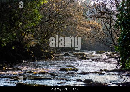 Fluss ölig bei Bruckless, County Donegal, Irland. Lachs und Forellen Angeln Fluss im Herbst, Herbst. Stockfoto