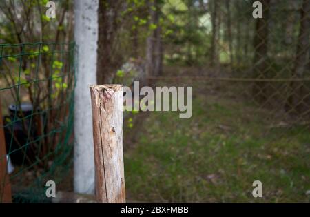 Holzstab und der Zaun im Wald Stockfoto