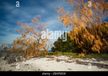 Kiesstrand bei Ebbe im Mondlicht, Great Sandy National Park, Queensland, Australien Stockfoto