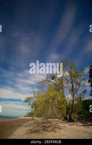 Kiesstrand bei Ebbe im Mondlicht, Great Sandy National Park, Queensland, Australien Stockfoto