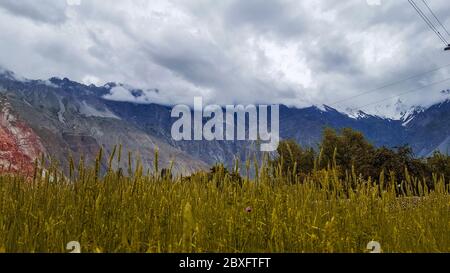 Wunderschöne Aussicht auf Feilds in den Bergen von Gleichrangig, in Hunza Tal, Pakistan Stockfoto