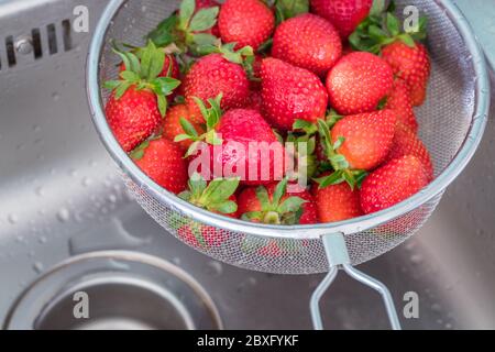 Gewaschene Erdbeeren, Früchte im Sieb in einem Waschbecken Stockfoto