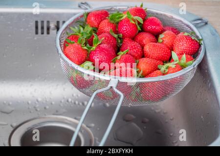 Gewaschene Erdbeeren, Früchte im Sieb in einem Waschbecken Stockfoto