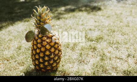 Diese kühle Ananas verbreitet Sommerurlaub Vibes mit seiner stilvollen Sonnenbrille und Gras Holzhintergrund. Hochwertige Fotos Stockfoto