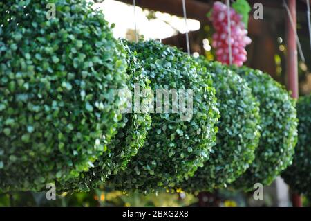 Hochzeit Dekoration Künstliche Kunststoff Boxwood Ball hängen auf die Schiene. Stockfoto